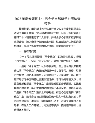 2022年度专题民主生活会班子对照检查材料