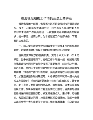 在巡视工作动员会议上的讲话5500字