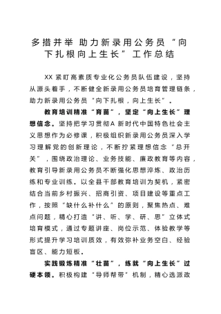助力新录用公务员“向下扎根向上生长”工作总结
