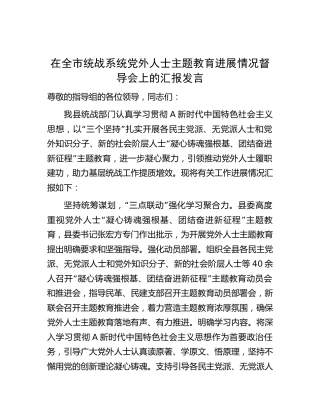 在全市统战系统党外人士主题教育进展情况督导会上的汇报发言（总结）