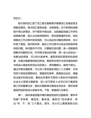 在调研基层党支部主题教育工作座谈会上的讲话3100字