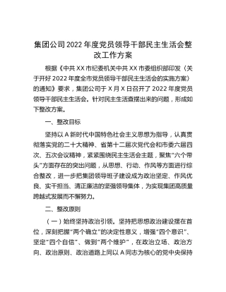 2022年度民主生活会整改工作方案6500字