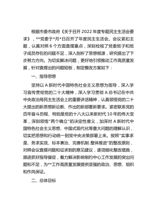 2022年度民主生活会整改方案6000字
