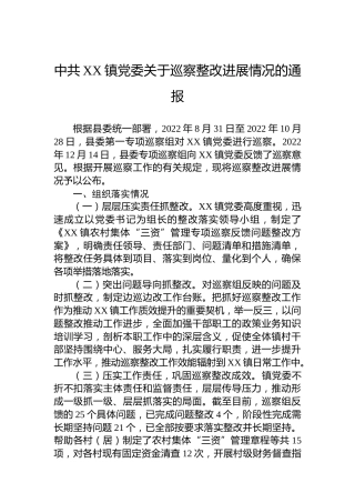 镇党委关于巡察整改进展情况的通报(20230313)