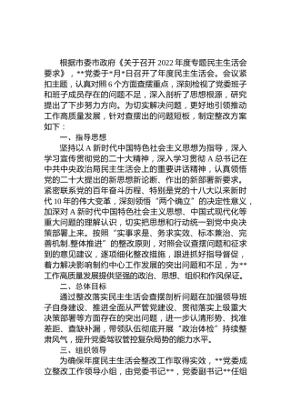 2022年度民主生活会整改方案6000字 (2)