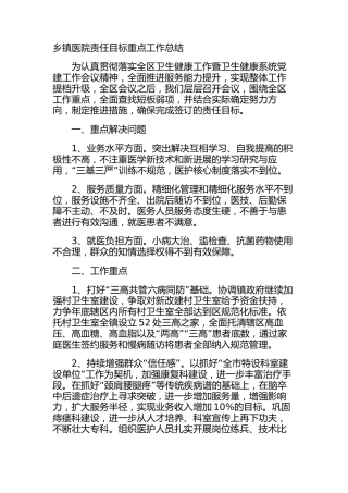 乡镇医院责任目标重点工作总结
