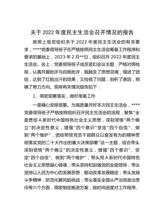 2022年度民主生活会召开情况的总结报告3600字