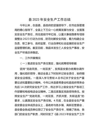 县2023年安全生产工作总结