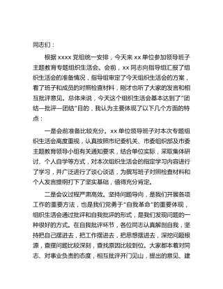 主题教育专题组织生活会点评讲话2000字