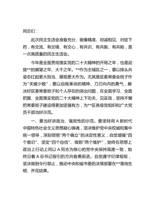 2022年度民主生活会上的总结讲话（县区）