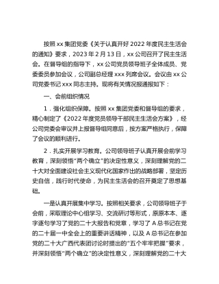 2022年度民主生活会情况报告6600字（含问题清单及整改措施）