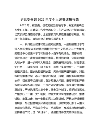 乡镇书记2023年度个人述责述廉报告2800字