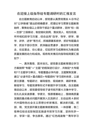 在迎接主题教育指导组调研时的汇报发言（主题教育总结2000字）