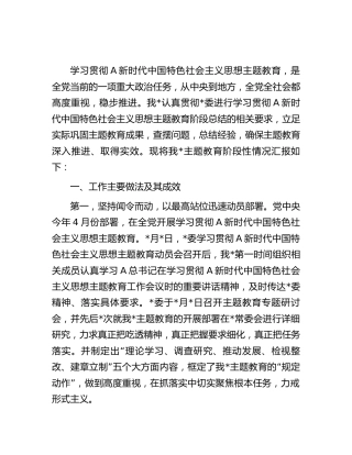 主题教育阶段性工作总结汇报
