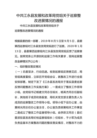 县发展和改革局党组关于巡察整改进展情况的通报