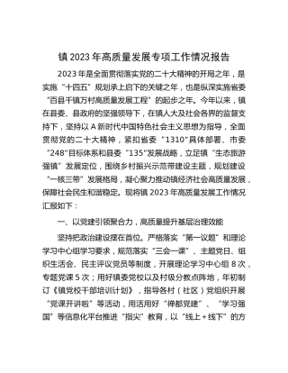 镇2023年高质量发展专项工作情况总结报告