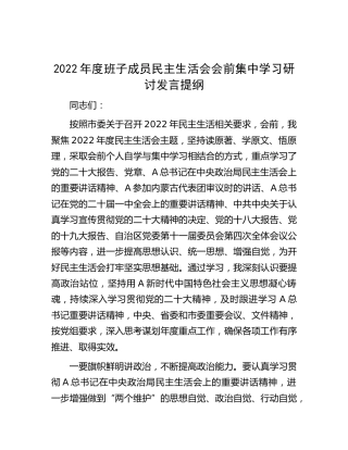 2022年度民主生活会会前集中学习研讨发言