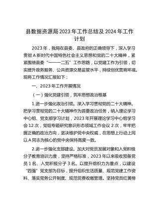 县数据资源系统2023年工作总结及2024年工作计划7000字