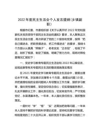 2022年度民主生活会个人发言(乡镇副职）