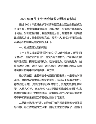 2022年度民主生活会个人对照检查5200字（乡镇镇长）