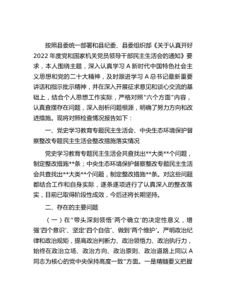 2022年度民主生活会个人对照检查4700字