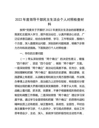 2022年度民主生活会个人对照检查4500字