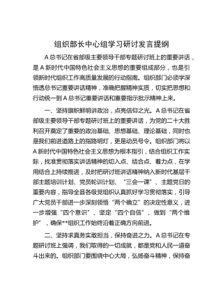 组织部长中心组学习研讨发言（省部级）