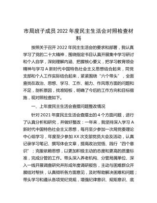 2022年度民主生活会个人对照检查4400字 (2)