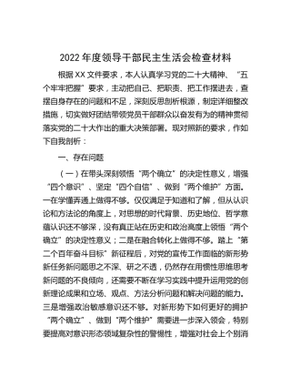 2022年度民主生活会个人对照检查3000字