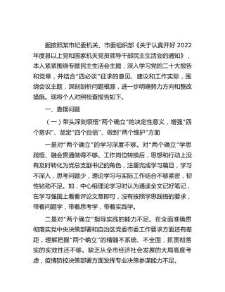 2022年度民主生活会个人对照检查（整改措施可参考）