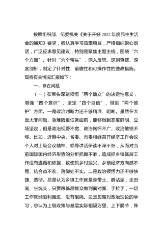 2022年度民主生活会个人对照检查（乡镇4800字）