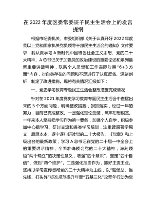 2022年度民主生活会个人对照检查（含上年度整改，县区领导）