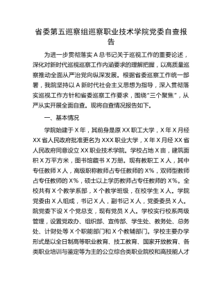 职业学校巡察自查报告6400字