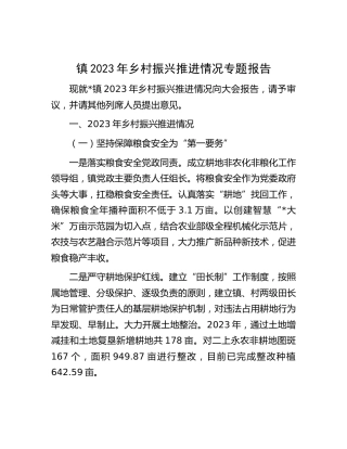乡镇2023年乡村振兴推进情况专题总结报告