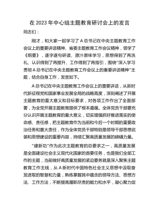 在2023年中心组主题教育研讨会上的发言1500字