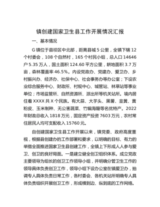 乡镇创建国家卫生县工作开展情况总结汇报