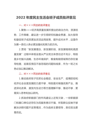 2022年度民主生活会班子成员批评意见 (2)