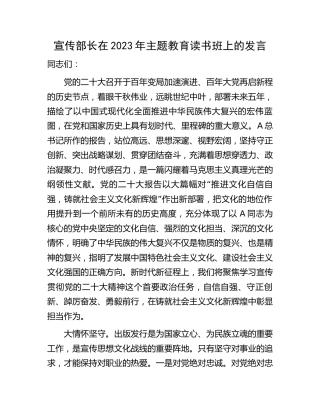 宣传部长在2023年主题教育读书班上的发言3500字