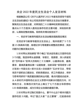 2022年度集团公司生活会个人对照检查6500字（含上年度整改措施落实情况）