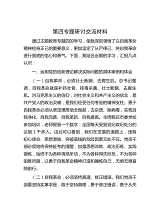 主题教育第四专题研讨发言