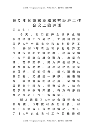 乡镇农业和农村经济工作会议上的讲话