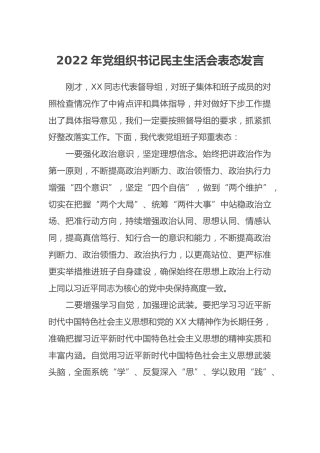 2022年党组织书记民主生活会表态发言 (2)