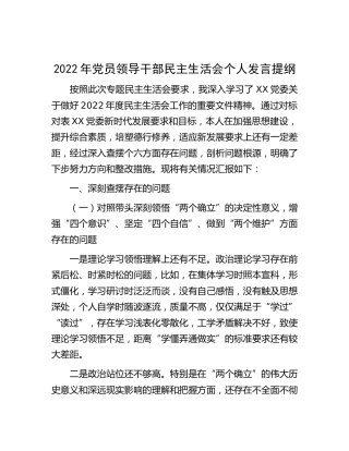 2022年党员领导干部民主生活会个人发言