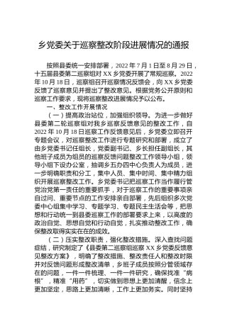 乡党委关于巡察整改阶段进展情况的通报（20230403）