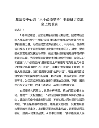 在政法委中心组“六个必须坚持”专题研讨交流会上的发言