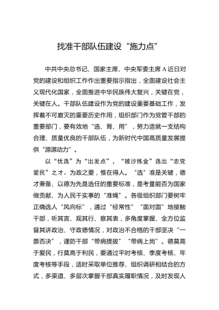 找准干部队伍建设“施力点”