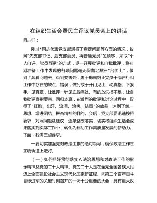 在组织生活会暨民主评议党员会上的讲话（政法）