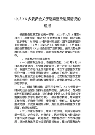 乡委员会关于巡察整改进展情况的通报（20230407）