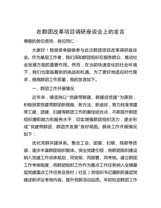 在群团改革项目调研座谈会上的发言(1)