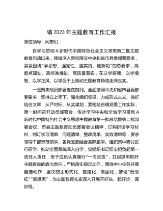 乡镇2023年主题教育工作汇报2000字